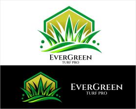 EverGreen Turf Pro entry by wwn