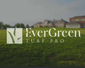 EverGreen Turf Pro entry by Maxdesigns