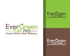 EverGreen Turf Pro entry by Gdanni04