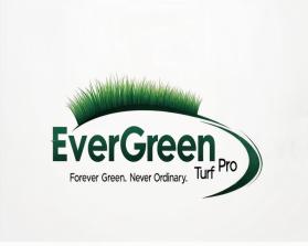 EverGreen Turf Pro entry by sidou