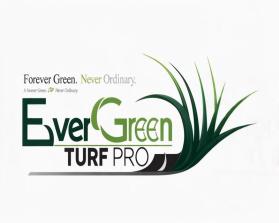 EverGreen Turf Pro entry by sidou