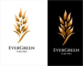 EverGreen Turf Pro entry by wwn