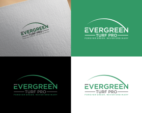 EverGreen Turf Pro entry by apatar