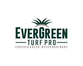 EverGreen Turf Pro entry by erionart