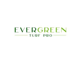 EverGreen Turf Pro entry by Tun