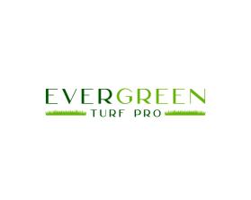 EverGreen Turf Pro entry by Tun