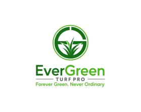 EverGreen Turf Pro entry by fathur