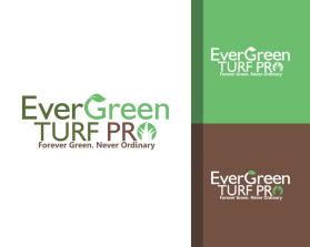 EverGreen Turf Pro entry by Gdanni04