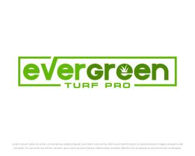 EverGreen Turf Pro entry by FXF Creations
