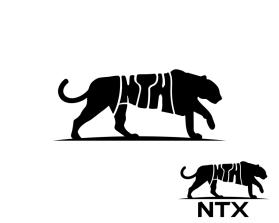 NTX (Nothing To Explain) entry by Tun