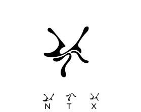 NTX (Nothing To Explain) entry by JALU KUSWORO