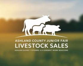 Ashland County Junior Fair Livestock Sales entry by Mazharul Islam