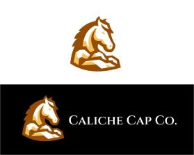 Caliche Cap Co. entry by wwn