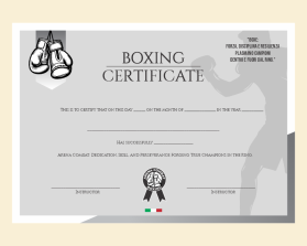 Arena Combat, certificate for rank entry by Marcelo silveira