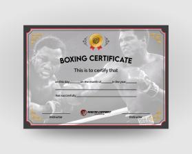 Arena Combat, certificate for rank entry by Ismail ginting