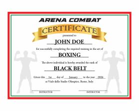 Arena Combat, certificate for rank entry by REY ARAULLO