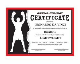 Arena Combat, certificate for rank entry by REY ARAULLO