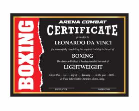 Arena Combat, certificate for rank entry by REY ARAULLO