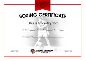 Arena Combat, certificate for rank entry by LALRINKIMA
