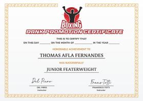Arena Combat, certificate for rank entry by Widian Mertha Putra