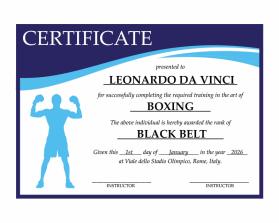 Arena Combat, certificate for rank entry by REY ARAULLO