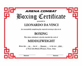 Arena Combat, certificate for rank entry by REY ARAULLO