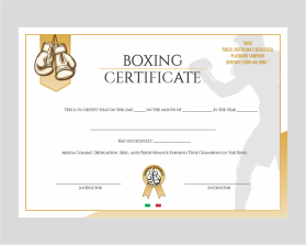Arena Combat, certificate for rank entry by Marcelo silveira