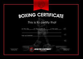 Arena Combat, certificate for rank entry by LALRINKIMA