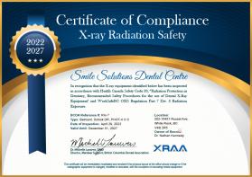 Certificate for Safety Inspection entry by Rimou