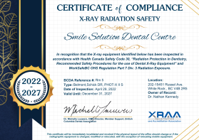 Certificate for Safety Inspection entry by Zavi
