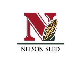 Nelson Seed entry by Farrukh Baig