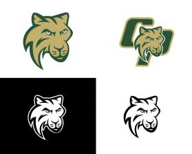 Comstock Park High School entry by Novin