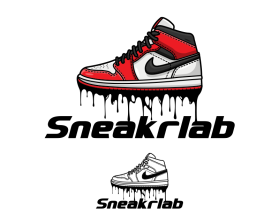 Sneakrlab entry by Recrod Viente