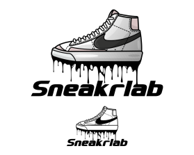 Sneakrlab entry by Recrod Viente