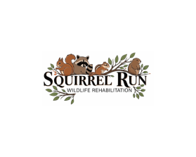 Squirrel Run Wildlife Rehabilitation entry by Deffen21