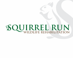 Squirrel Run Wildlife Rehabilitation entry by miyati