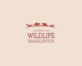 Squirrel Run Wildlife Rehabilitation entry by Dalmo23