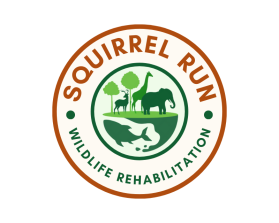 Squirrel Run Wildlife Rehabilitation entry by Maxdesigns