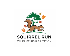 Squirrel Run Wildlife Rehabilitation entry by Deffen21