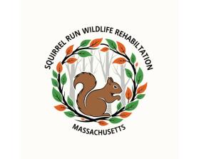 Squirrel Run Wildlife Rehabilitation entry by Deffen21