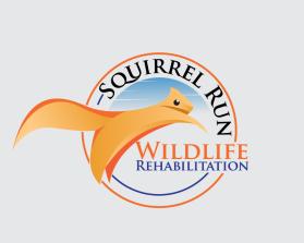 Squirrel Run Wildlife Rehabilitation entry by Rimou