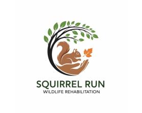 Squirrel Run Wildlife Rehabilitation entry by Deffen21