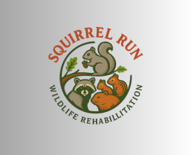 Squirrel Run Wildlife Rehabilitation entry by BigHeadStudio