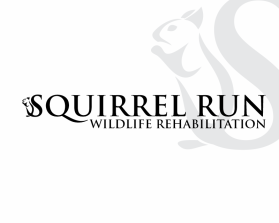 Squirrel Run Wildlife Rehabilitation entry by miyati