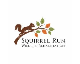 Squirrel Run Wildlife Rehabilitation entry by Deffen21