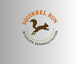 Squirrel Run Wildlife Rehabilitation entry by BigHeadStudio
