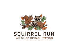 Squirrel Run Wildlife Rehabilitation entry by Deffen21