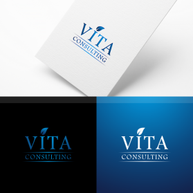 Vita Consulting entry by mufid