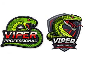 Viperproducts.com entry by Jaouad El ouazzani