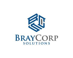 Braycorpsolutions.com entry by Debashis sarkar